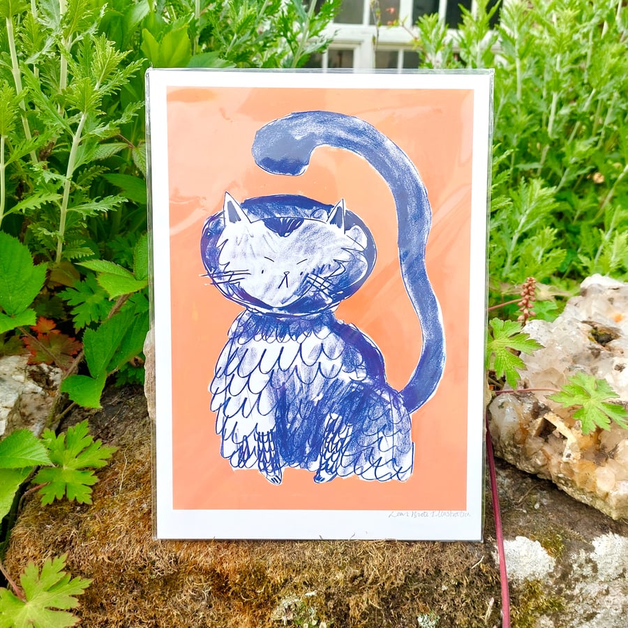 A4 Cone of shame Cat