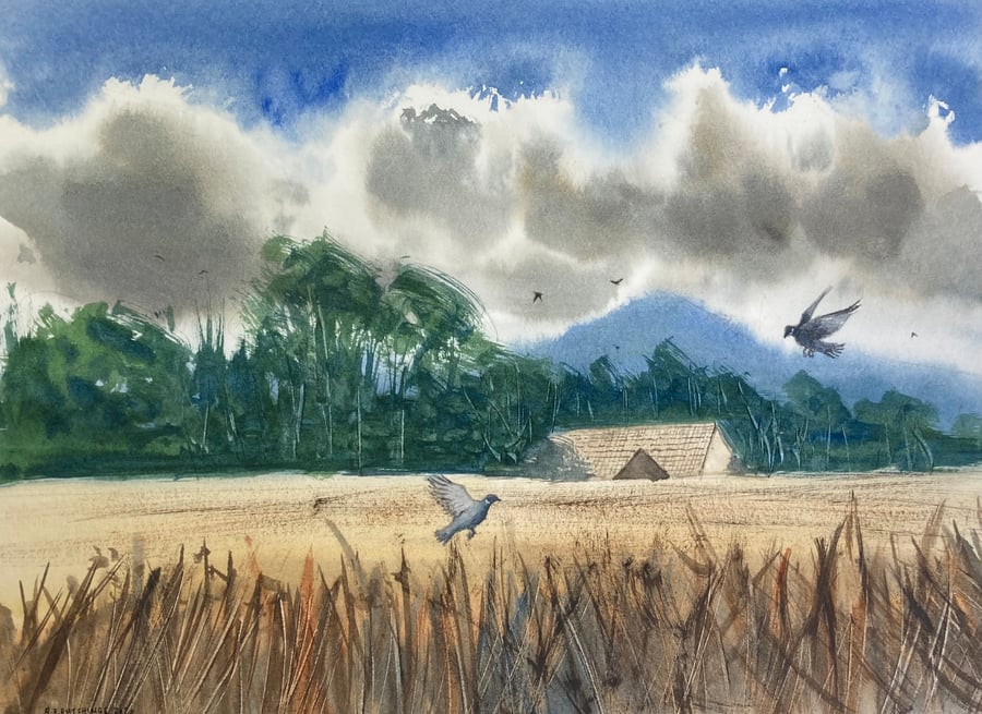 Wood pigeons over easby (Pure Original Watercolour)