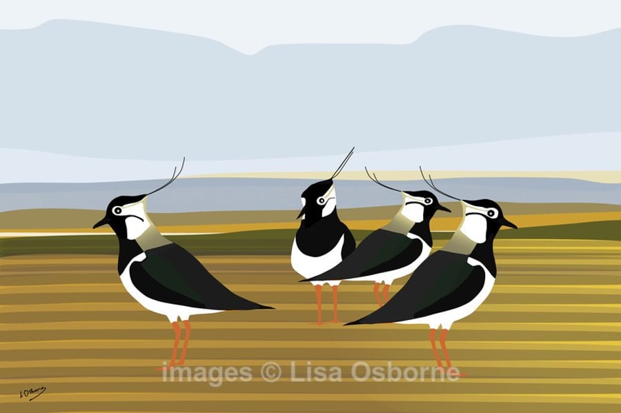 Lapwings. Signed print. Digital illustration. Coast. British birds. Wildlife