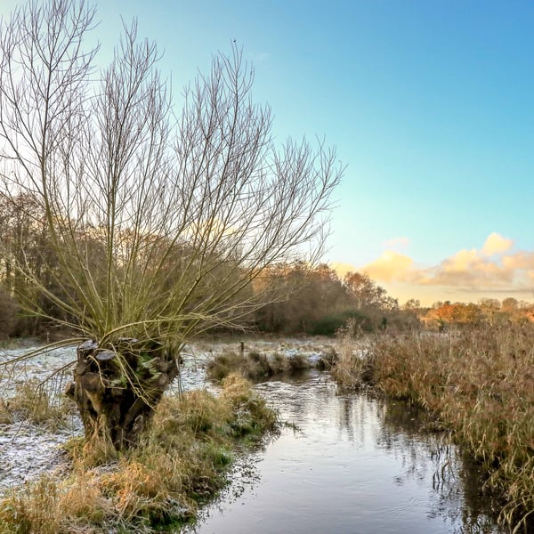 Scenic Greetings Card of the River Wensum on a Frosty morning.