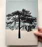 Ashdown Pine no.61, A4 size, original artwork, hand painted, blue - Image 3