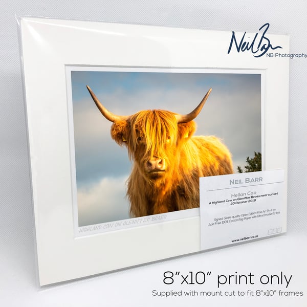 Highland CowCoo Scotland - A5 (10" x 8") Unframed Print