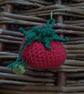 Tomato pouch