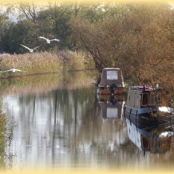 A5 Swans Flying Norfolk Creek Card.