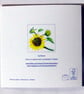 Set of Four Colourful Flower and Garden Blank Greeting Cards - Image 7
