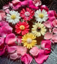 Daisy Floating Candle Handmade With Fragrance Pack Of 6 Flower Candle.