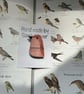 Ceramic salmon pink bird brooch