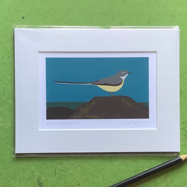 Grey wagtail - signed print of bird illustration with mount