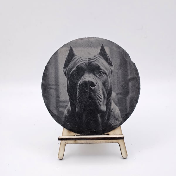 Dog engraved slate