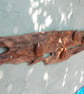 Blitz Timber 5 - Image 1