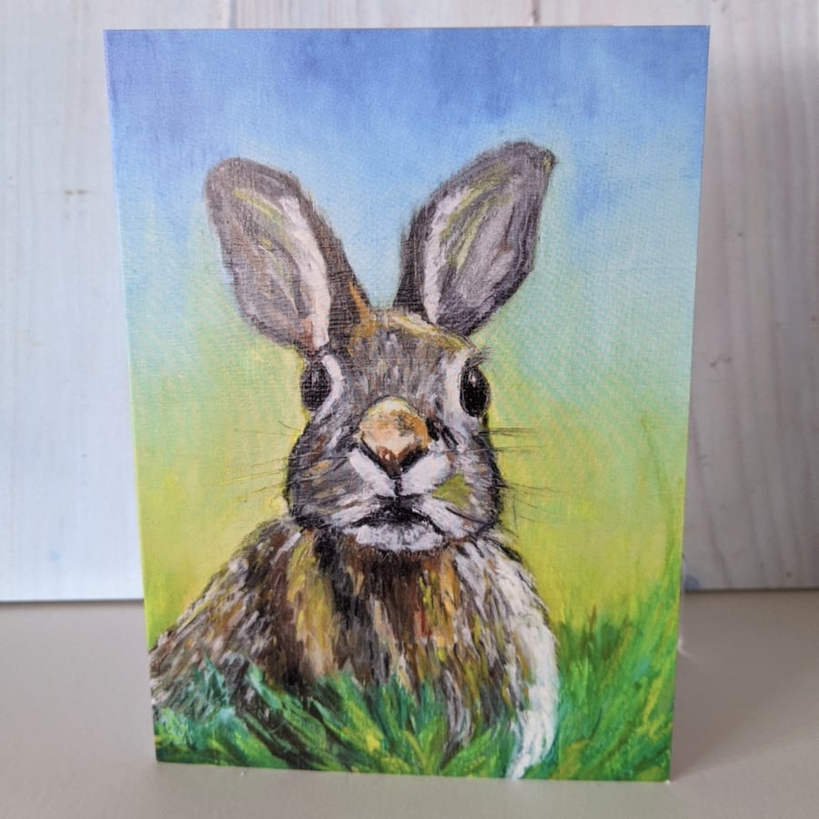 Norfolk hare
