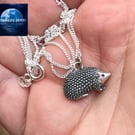 Mr Prickles