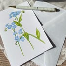 Forget me not greetings cards. Pack of five. 