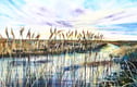 Landscape & Seascape Oil Paintings
