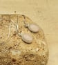 Rose Quartz earrings. January birthstone. 5th anniversary gemstone - Image 3