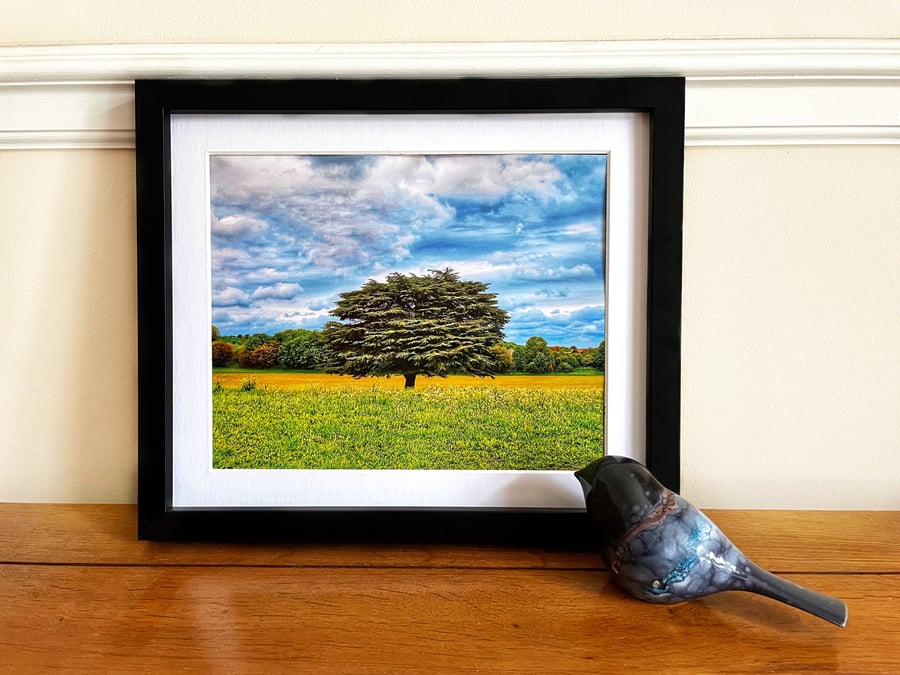 Framed Lonely Tree Photo, Rural England Print, Kent, UK