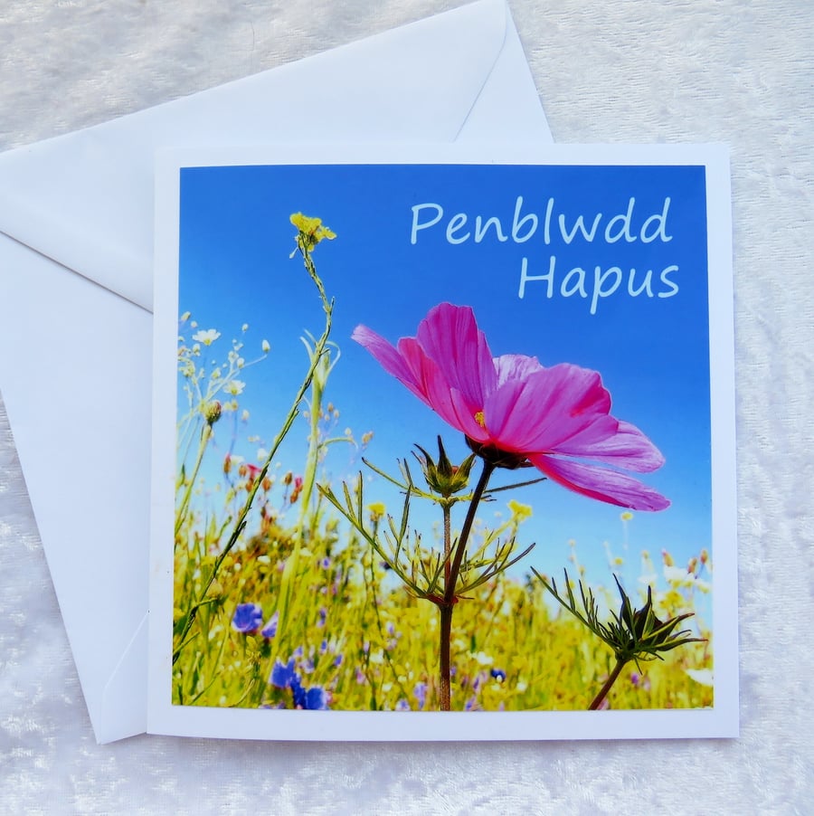 Penblwdd Hapus, Happy Birthday, Welsh greetings, Cymraeg