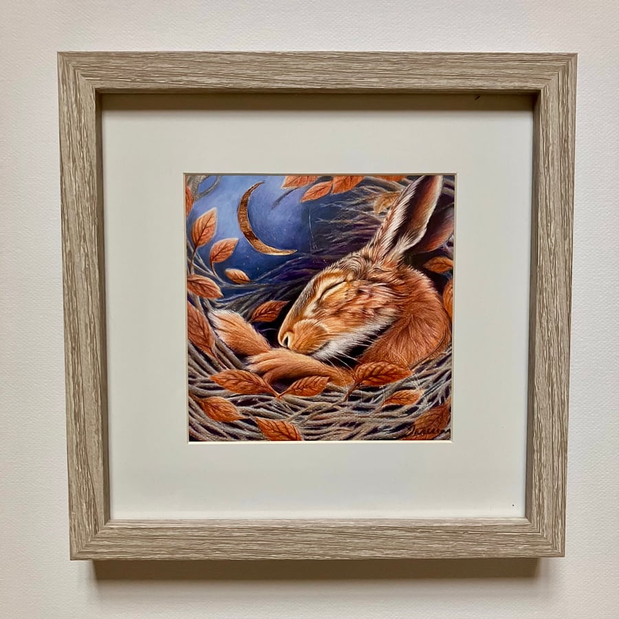 Midnight Hare Framed Print
