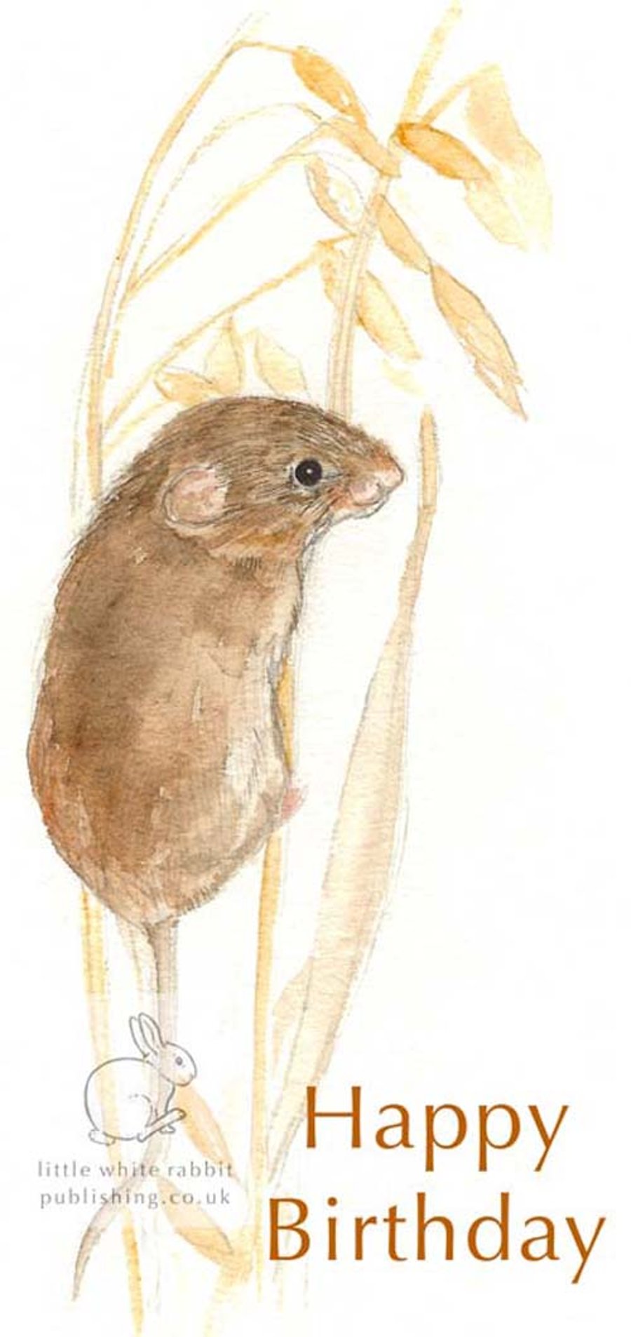 Harvest Mouse - Birthday Card