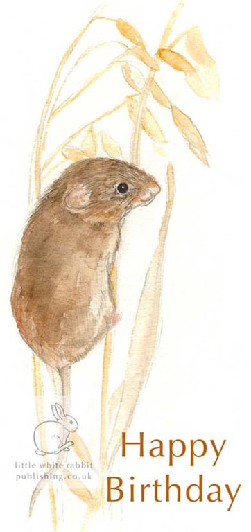 Harvest Mouse - Birthday Card
