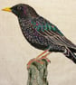 Starling Embroidered Portrait Greetings Card - Image 2