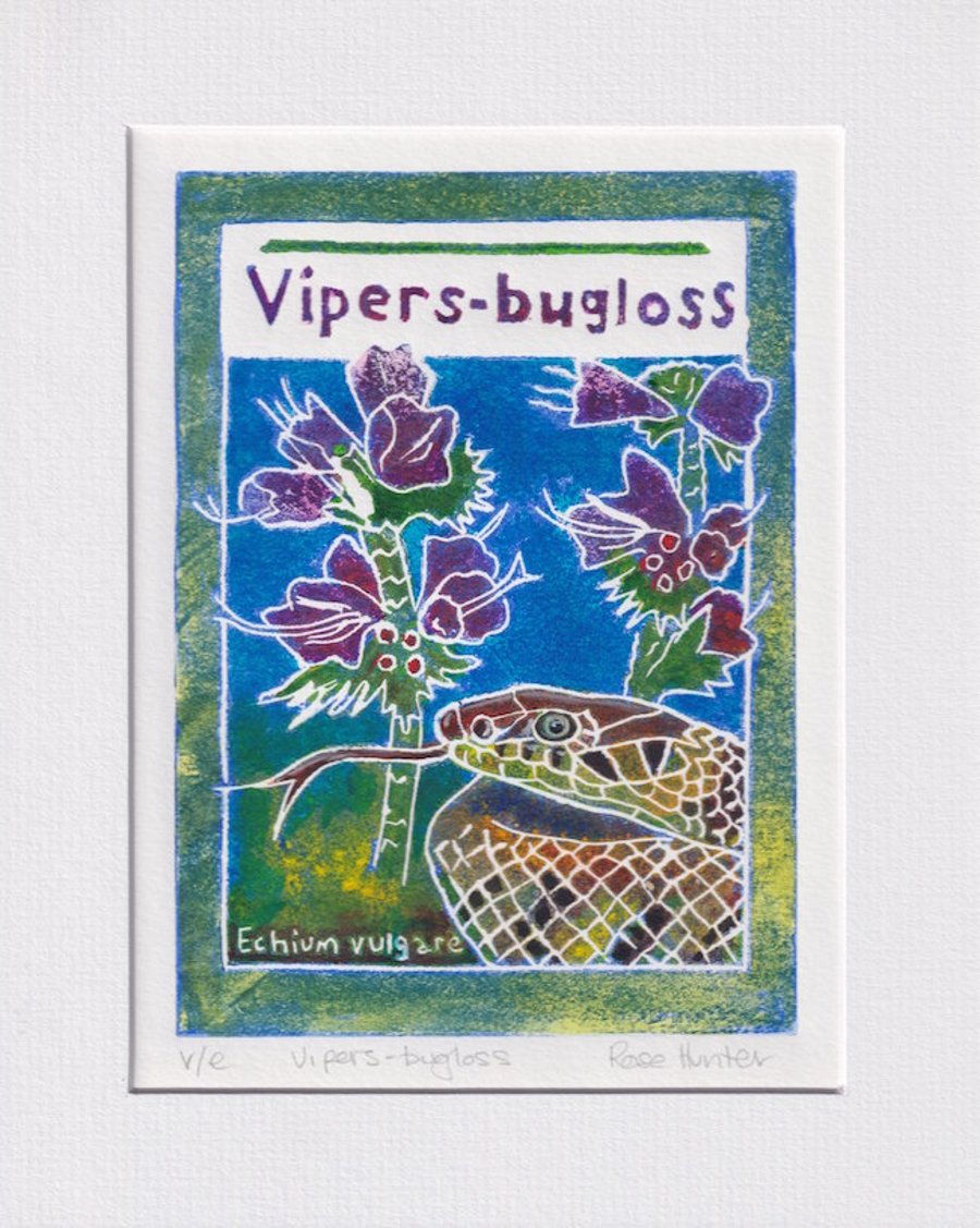 Vipers-bugloss  - original hand painted lino print 002