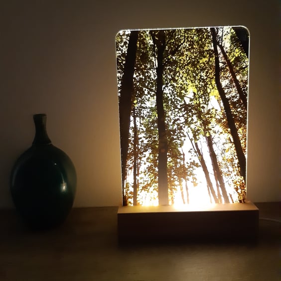 Lamp - LED night light - acrylic photo frame -  woodland print