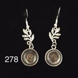 Ammonite earrings , 195 million years old 