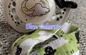 Adult Paci/Chew Clips