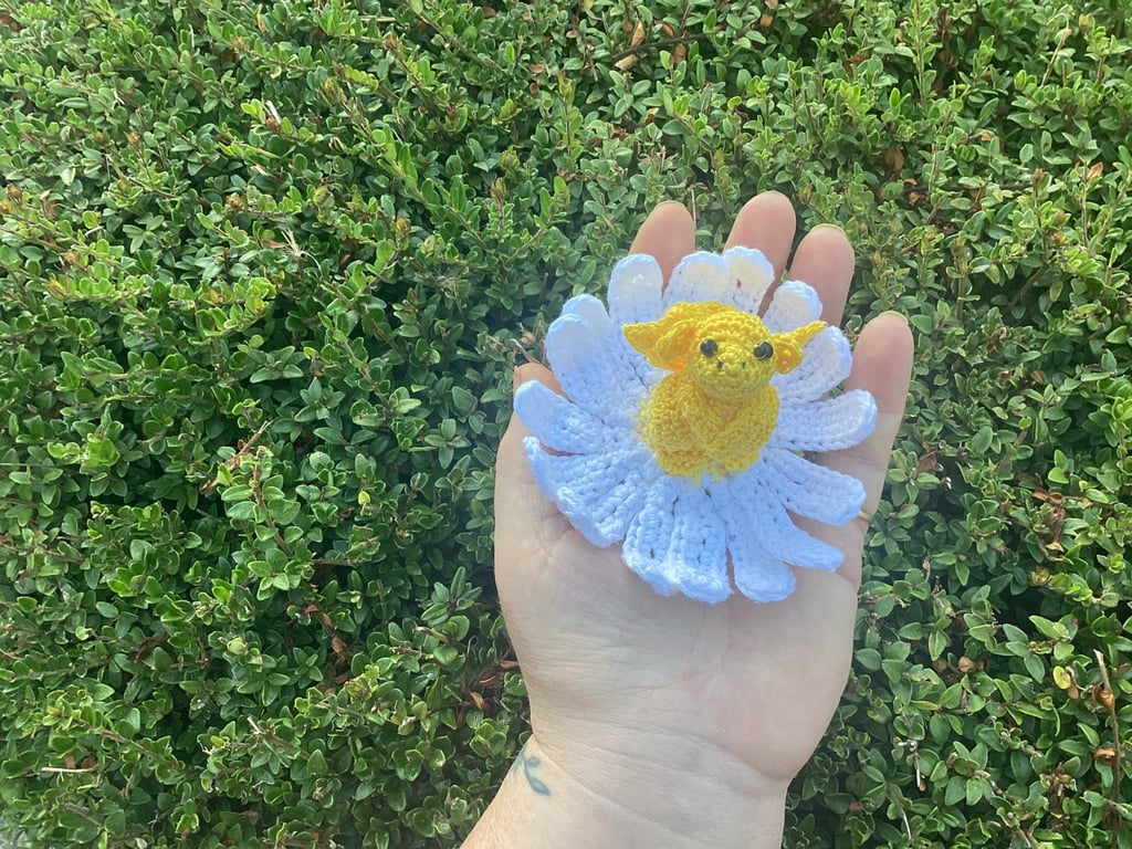 Daisy dragon flower