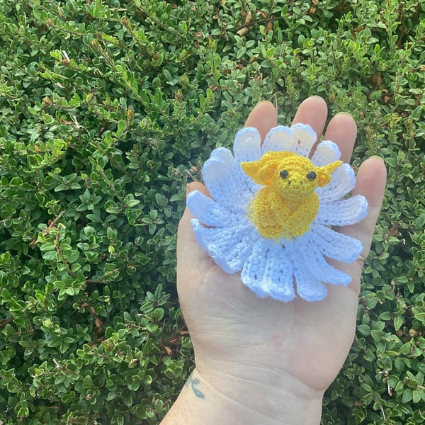 Daisy dragon flower