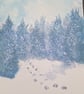 Snowy woodland blue purple wash  - Image 6