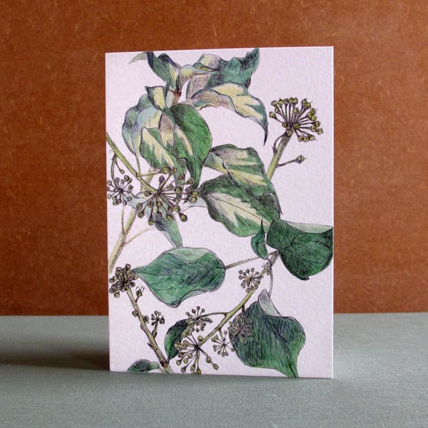 Blank Fine Art Card with envelope