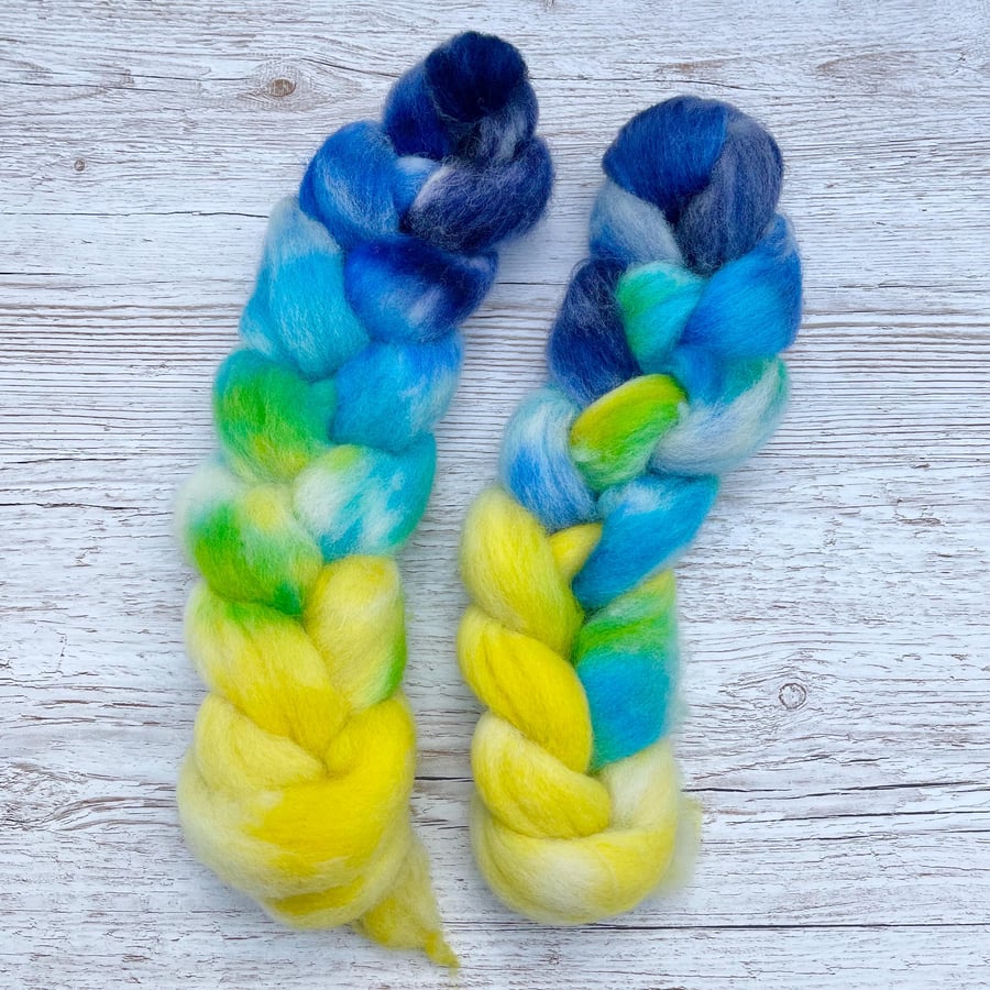 Dorset Horn Hand Dyed Spinning Fibre 50g