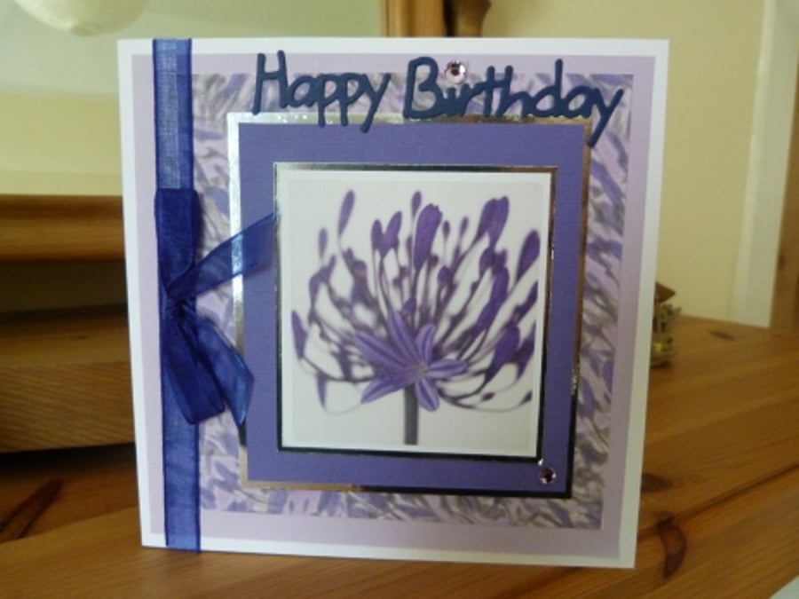 Agapanthus Birthday Card