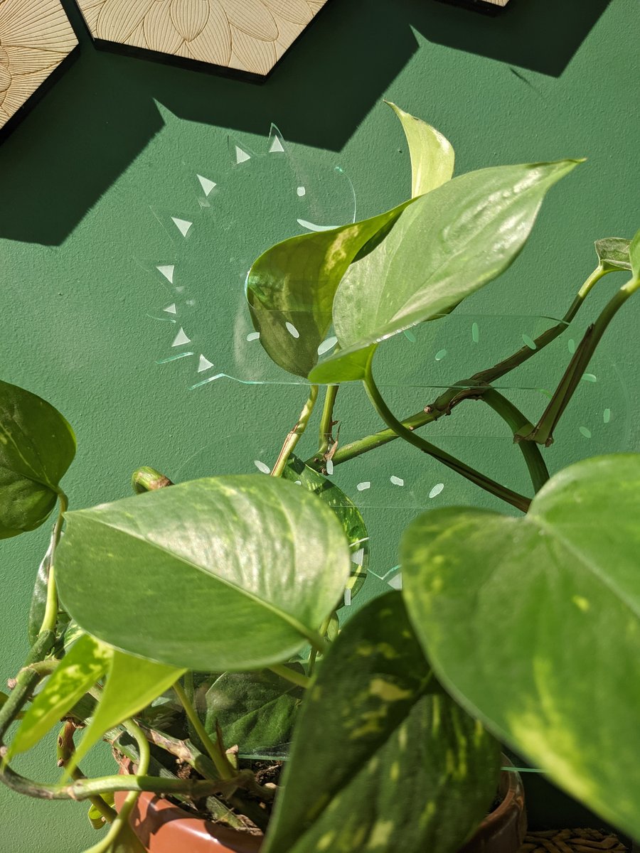 Cute Stegosaurus Dinosaur Plant Trellis Decoration