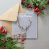 Stag Christmas card