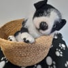 Border Collie New Born Puppy, Dotpebblesknits  Design