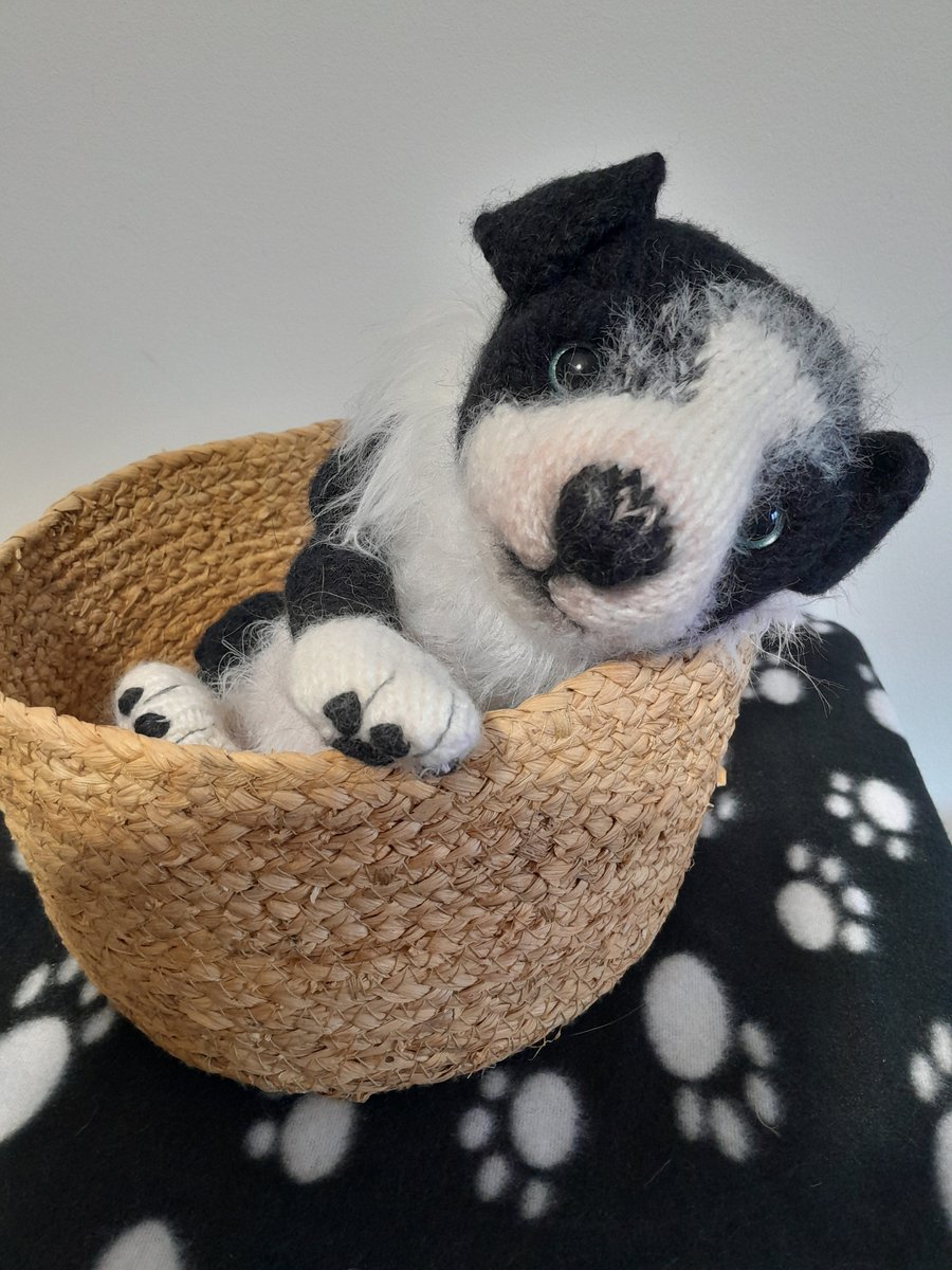Border Collie New Born Puppy, Dotpebblesknits  Design