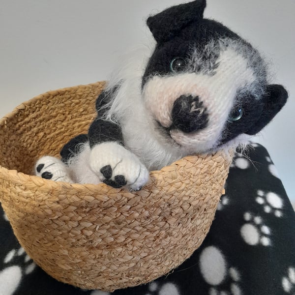 Border Collie New Born Puppy, Dotpebblesknits  Design