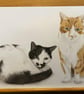 A3 Custom pet portrait for two pets made with coloured pencil - Image 4
