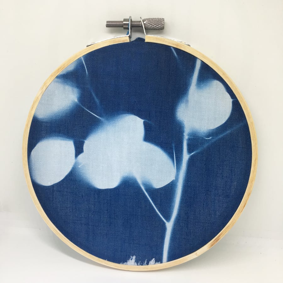 Honesty Plant Cyanotype Embroidery Hoop 3
