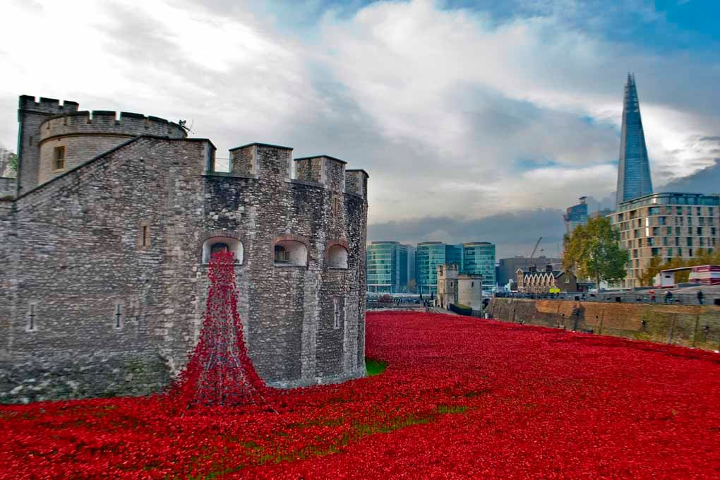 Red Poppies At The Tower Of London England Photograph Print