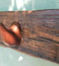 Blitz Timber 1 - Image 4