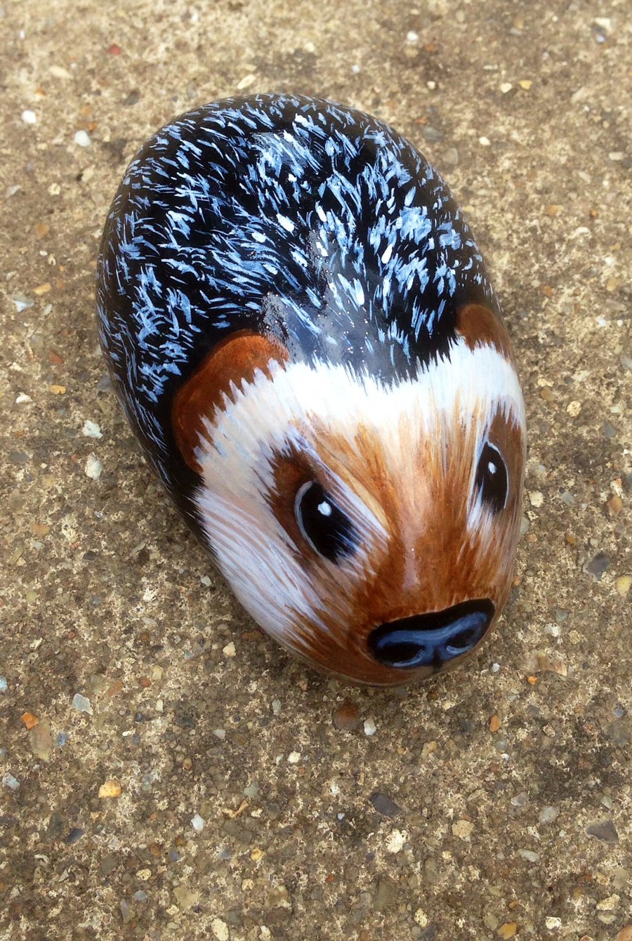 Hedgehog Hand painted rock 