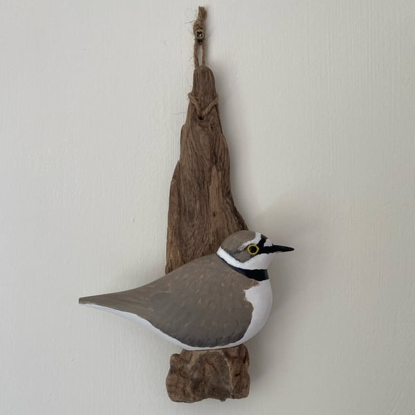 Little Ringed Plover