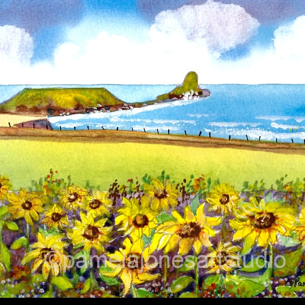 Sunflowers, Rhossili bay, Gower, Wales, Watercolour Print in 14 x 11 '' Mount