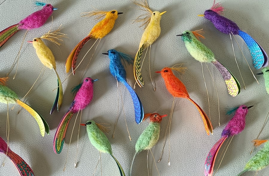 Colourful perching birds