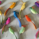 Colourful perching birds