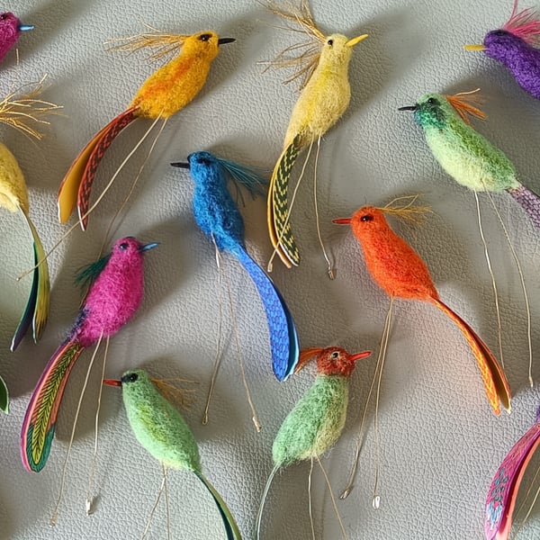 Colourful perching birds